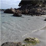 Insegnante inglese offre lezioni